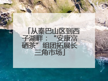 从秦巴山区到西子湖畔：“安康富硒茶”组团拓展长三角市场