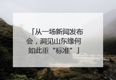 从一场新闻发布会，洞见山东缘何如此重“标准”