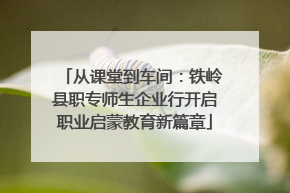 从课堂到车间：铁岭县职专师生企业行开启职业启蒙教育新篇章