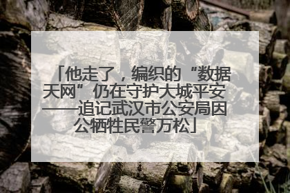 他走了，编织的“数据天网”仍在守护大城平安——追记武汉市公安局因公牺牲民警万松