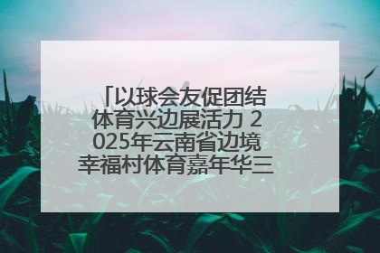 以球会友促团结 体育兴边展活力 2025年云南省边境幸福村体育嘉年华三人篮球赛圆满收官