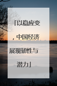 以稳应变，中国经济展现韧性与潜力