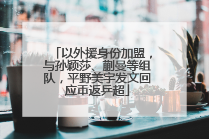 以外援身份加盟，与孙颖莎、蒯曼等组队，平野美宇发文回应重返乒超
