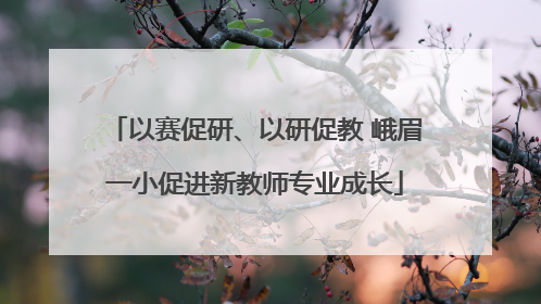 以赛促研、以研促教 峨眉一小促进新教师专业成长