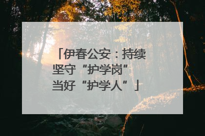 伊春公安：持续坚守“护学岗” 当好“护学人”