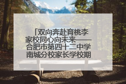 双向奔赴育桃李 家校同心向未来——合肥市第四十二中学南城分校家长学校期末总结会圆满召开