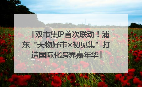 双市集IP首次联动！浦东“天物好市×初见集”打造国际化跨界嘉年华