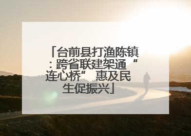 台前县打渔陈镇：跨省联建架通“连心桥” 惠及民生促振兴