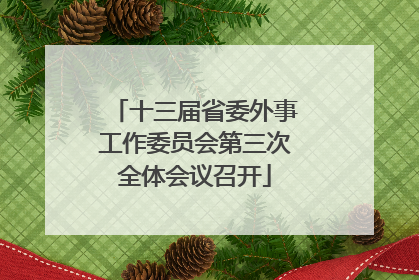 十三届省委外事工作委员会第三次全体会议召开