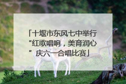十堰市东风七中举行“红歌唱响，美育润心”庆六一合唱比赛