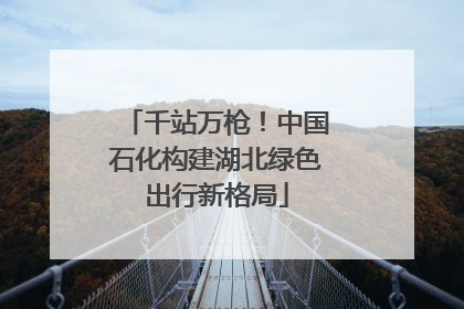 千站万枪！中国石化构建湖北绿色出行新格局