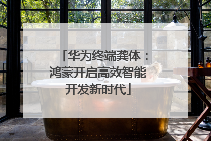 华为终端龚体：鸿蒙开启高效智能开发新时代