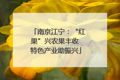 南京江宁：“红果”兴农果丰收 特色产业助振兴