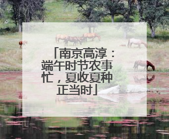 南京高淳：端午时节农事忙，夏收夏种正当时