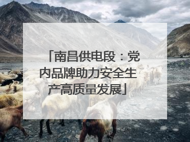 南昌供电段：党内品牌助力安全生产高质量发展