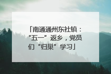 南通通州东社镇：“五一”返乡，党员们“归巢”学习