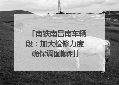 南铁南昌南车辆段：加大检修力度确保调图顺利