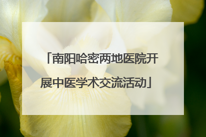 南阳哈密两地医院开展中医学术交流活动
