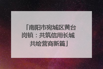 南阳市宛城区黄台岗镇：共筑信用长城 共绘营商新篇