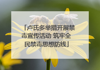 卢氏多举措开展禁毒宣传活动 筑牢全民禁毒思想防线