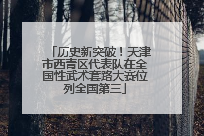 历史新突破！天津市西青区代表队在全国性武术套路大赛位列全国第三