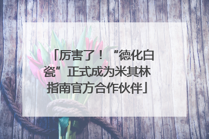 厉害了！“德化白瓷”正式成为米其林指南官方合作伙伴