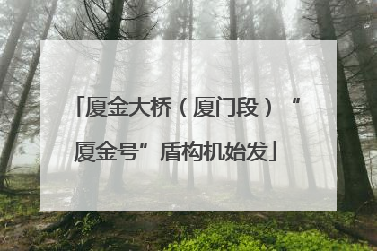 厦金大桥（厦门段）“厦金号”盾构机始发