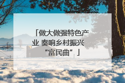 做大做强特色产业 奏响乡村振兴“富民曲”