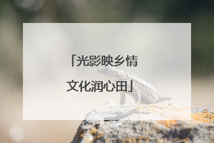 光影映乡情 文化润心田