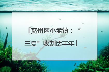 兖州区小孟镇：“三夏”收割话丰年