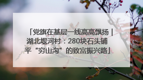 党旗在基层一线高高飘扬｜湖北堰河村：280块石头铺平“穷山沟”的致富振兴路