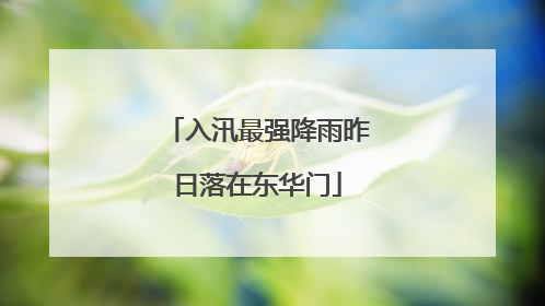 入汛最强降雨昨日落在东华门