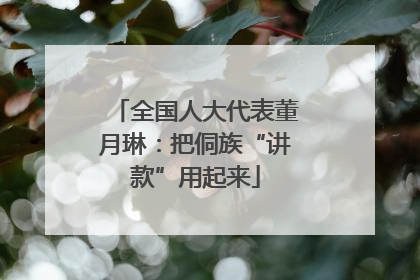 全国人大代表董月琳：把侗族“讲款”用起来
