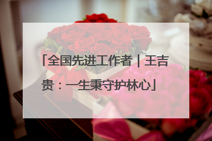 全国先进工作者｜王吉贵：一生秉守护林心