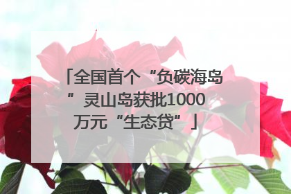 全国首个“负碳海岛”灵山岛获批1000万元“生态贷”