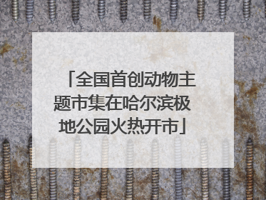 全国首创动物主题市集在哈尔滨极地公园火热开市
