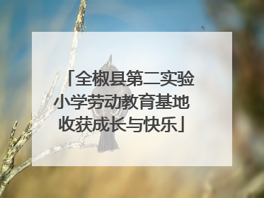全椒县第二实验小学劳动教育基地收获成长与快乐