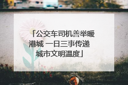 公交车司机善举暖港城 一日三事传递城市文明温度