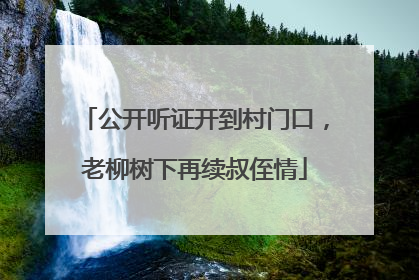 公开听证开到村门口，老柳树下再续叔侄情
