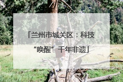 兰州市城关区：科技“唤醒”千年非遗