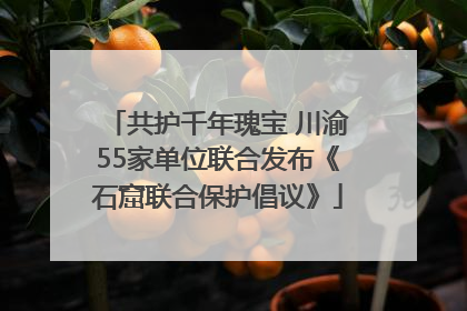 共护千年瑰宝 川渝55家单位联合发布《石窟联合保护倡议》