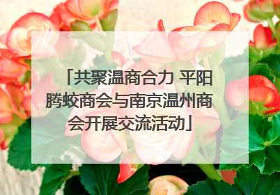 共聚温商合力 平阳腾蛟商会与南京温州商会开展交流活动