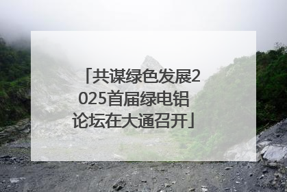 共谋绿色发展2025首届绿电铝论坛在大通召开