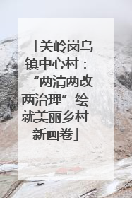关岭岗乌镇中心村：“两清两改两治理”绘就美丽乡村新画卷
