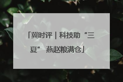 冀时评｜科技助“三夏” 燕赵粮满仓