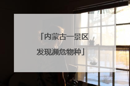 内蒙古一景区发现濒危物种