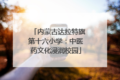 内蒙古达拉特旗第十六小学：中医药文化浸润校园