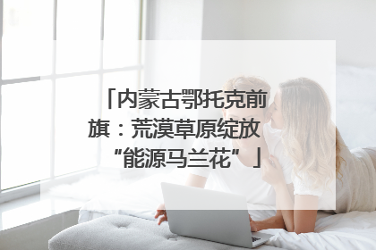 内蒙古鄂托克前旗：荒漠草原绽放“能源马兰花”