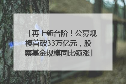 再上新台阶！公募规模首破33万亿元，股票基金规模同比领涨