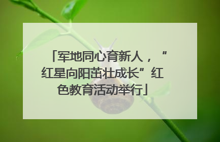 军地同心育新人，“红星向阳茁壮成长”红色教育活动举行